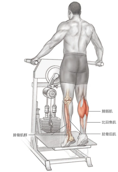 业余篮球爱好者如何提高比赛心态_1